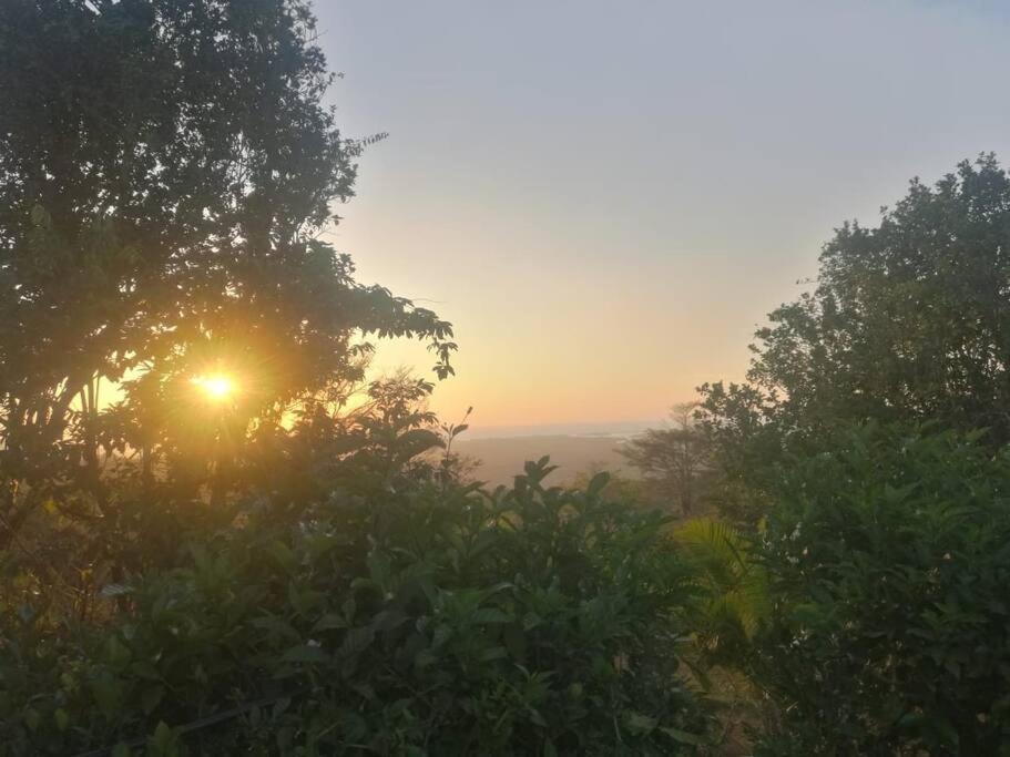 Hospedaje Valencia Osa, Cr Potrero  Zewnętrze zdjęcie