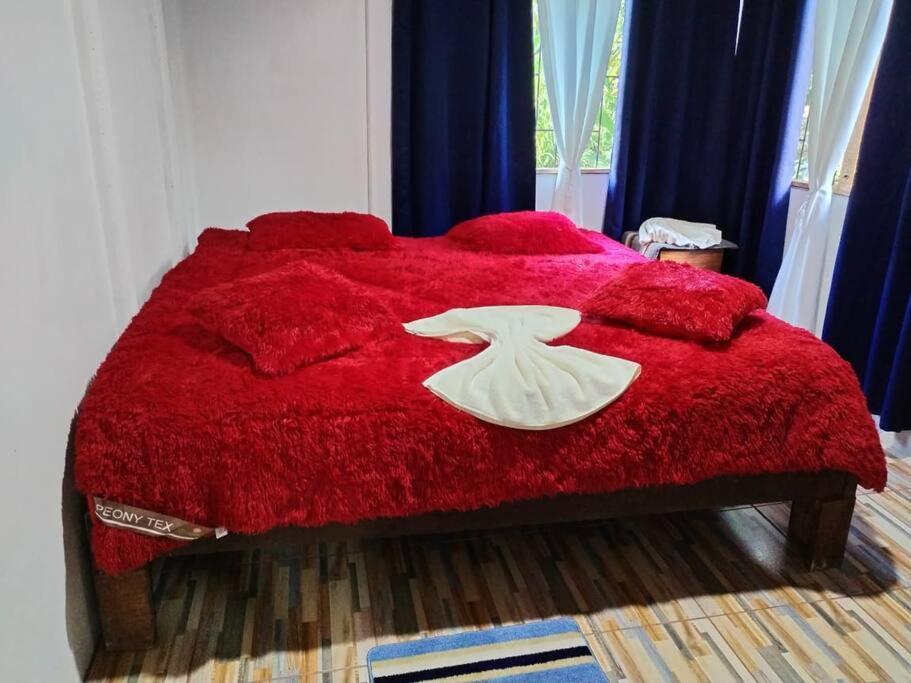 Hospedaje Valencia Osa, Cr Potrero  Zewnętrze zdjęcie