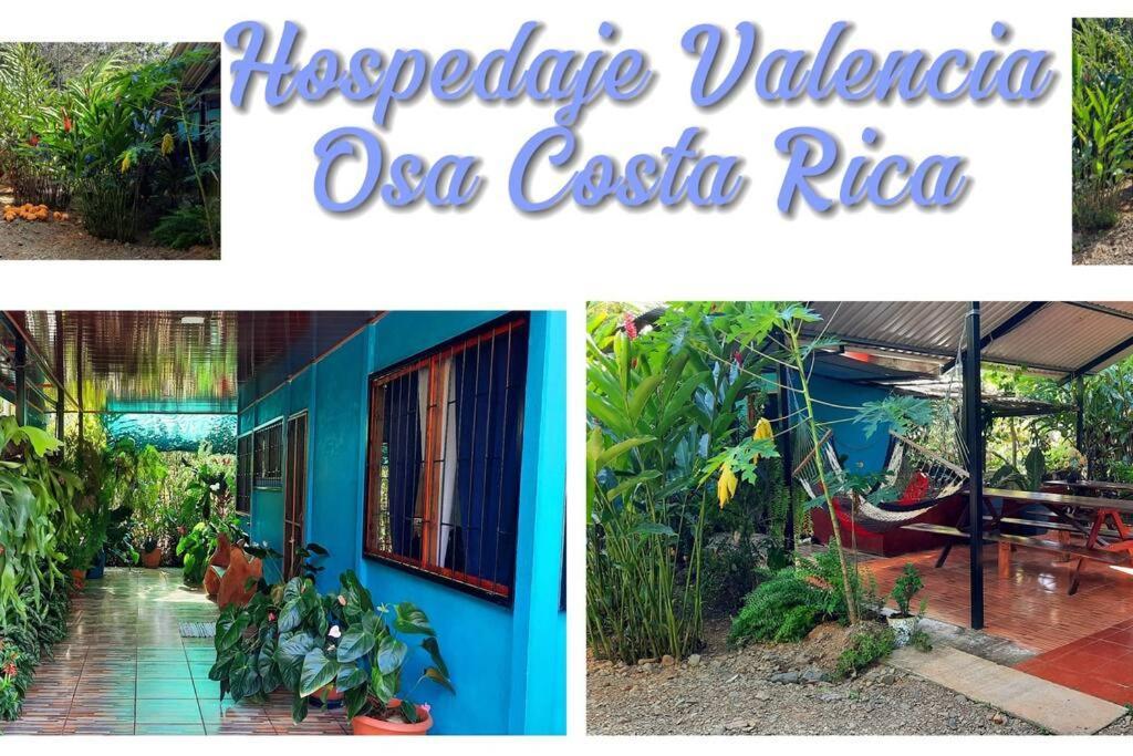 Hospedaje Valencia Osa, Cr Potrero  Zewnętrze zdjęcie
