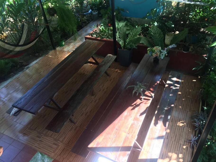 Hospedaje Valencia Osa, Cr Potrero  Zewnętrze zdjęcie