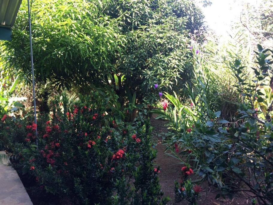 Hospedaje Valencia Osa, Cr Potrero  Zewnętrze zdjęcie