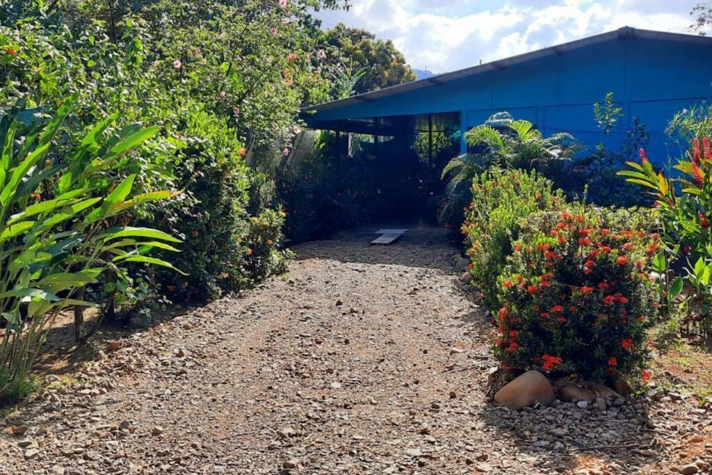Hospedaje Valencia Osa, Cr Potrero  Zewnętrze zdjęcie