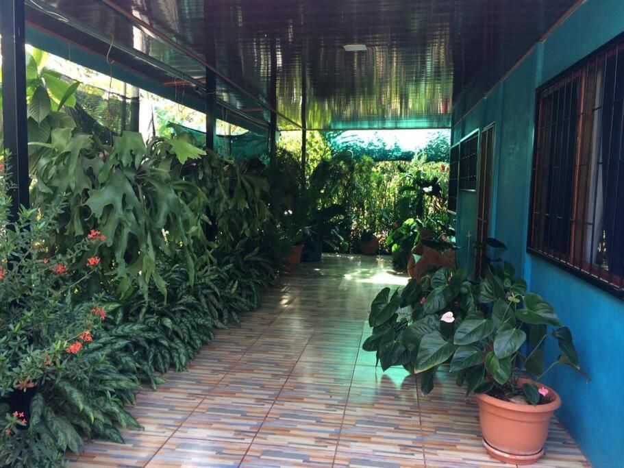 Hospedaje Valencia Osa, Cr Potrero  Zewnętrze zdjęcie
